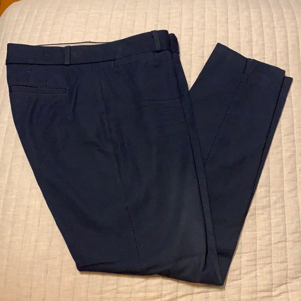 Banana Republic Sloan pants